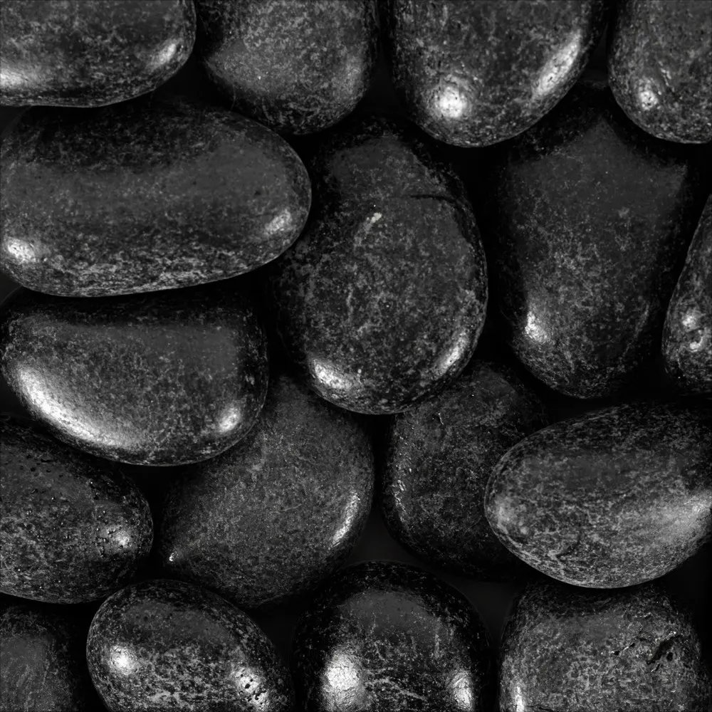 Bagheera Black, photo 2