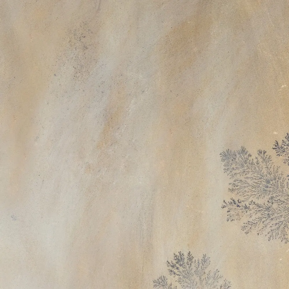 Fossil sandstone