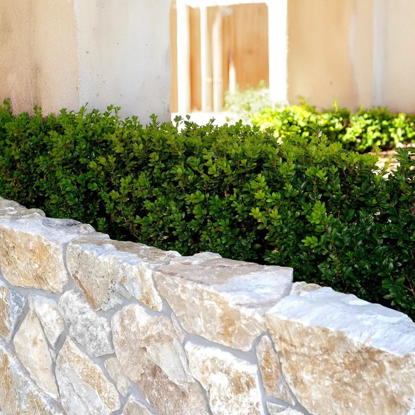 Honey Gold limestone