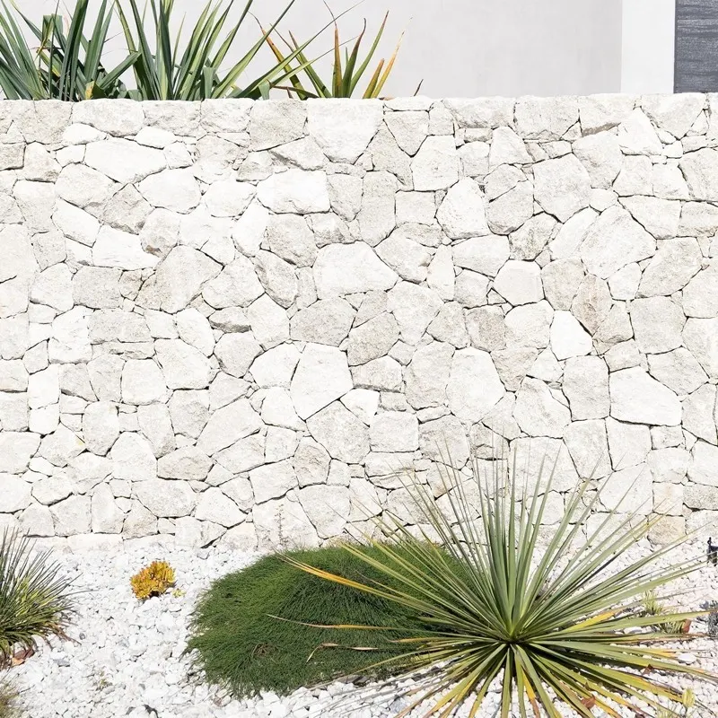 Lymra limestone