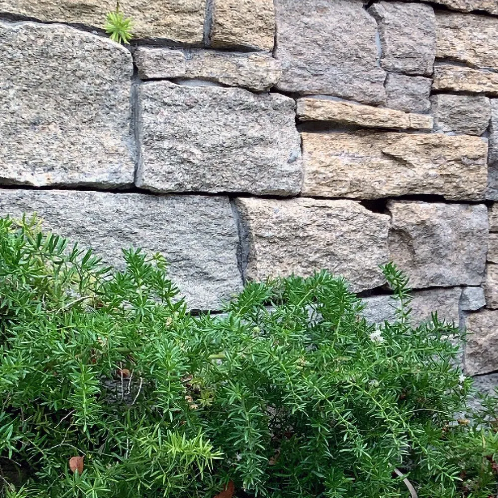 Tigerskin Yellow granite