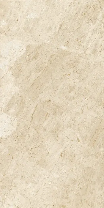 Bodega, photo 3 (Eggshell)