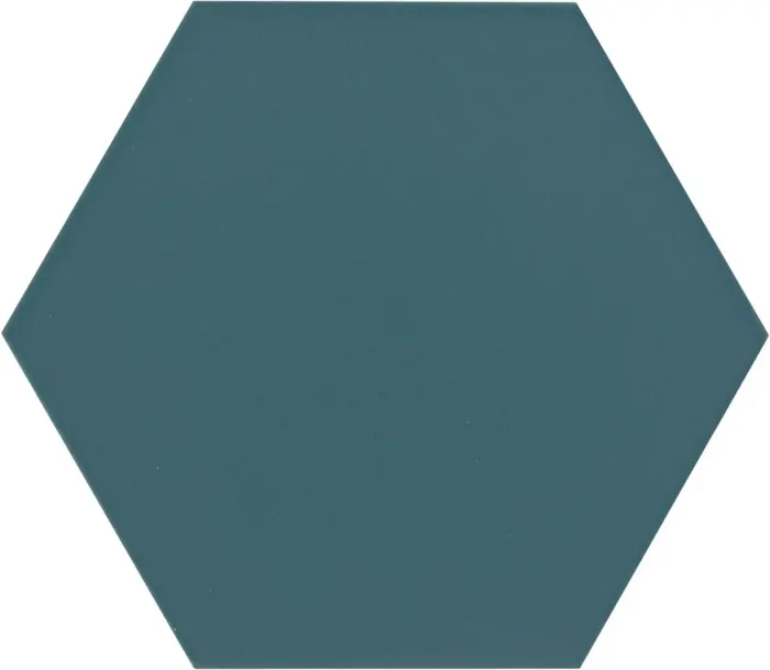Indian Teal