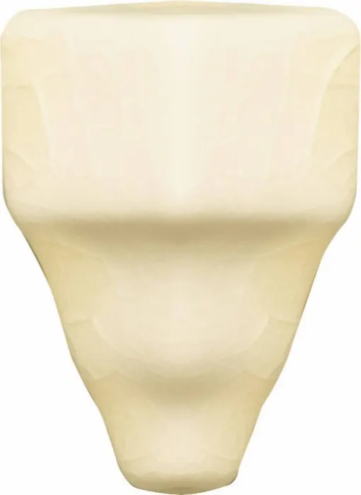 Chair molding end cap (1.4 in) in Bone