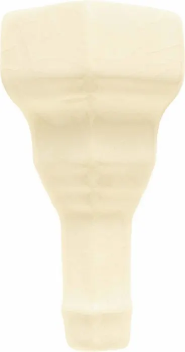 Chair molding end cap (2 in) in Bone