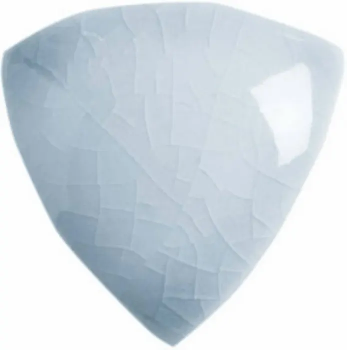 Beak in Stellar Blue