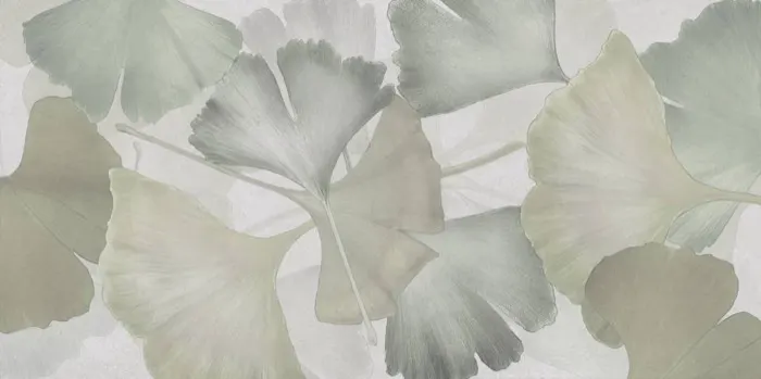 Green Ginkgo