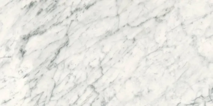 Delight Plus, photo 3 (Michelangelo Extra White)
