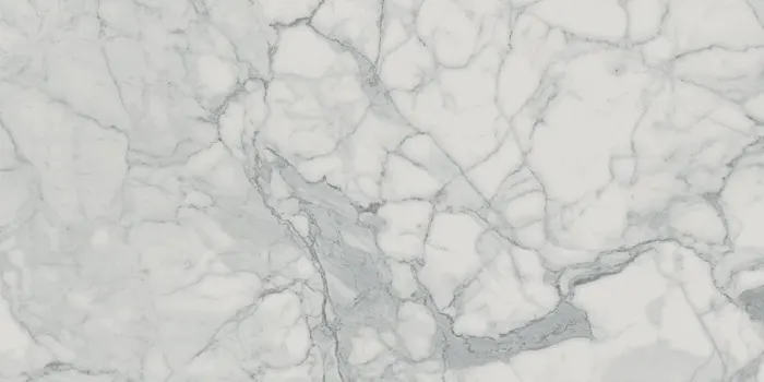 Delight, photo 3 (Veined Statuario)