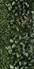 Glitz, photo 7 (Greenwall)