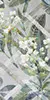 Glitz, photo 6 (Hedge)