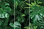 Glitz, photo 18 (Jungle)