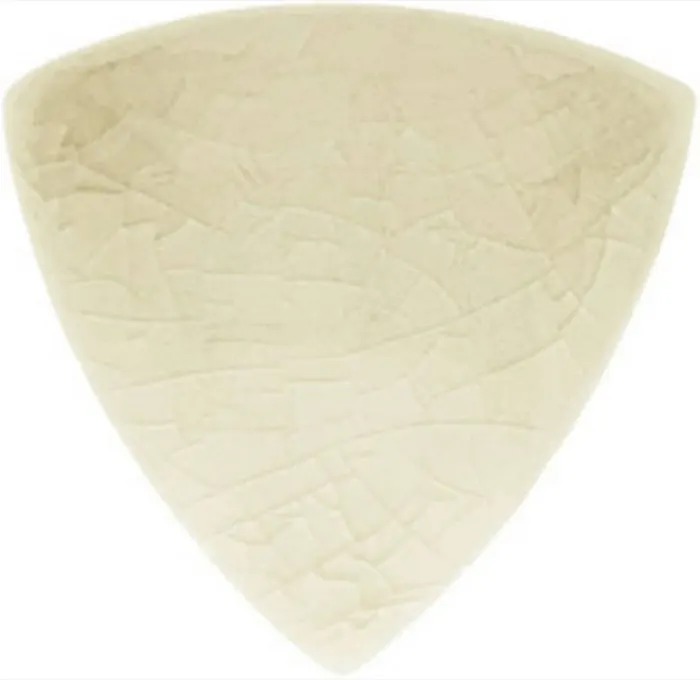 Beak in Sand Dollar