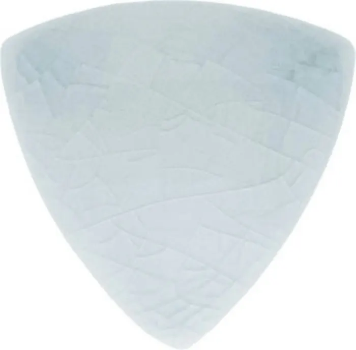 Beak in Top Sail