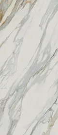 Perennial, photo 4 (Venato Gold)