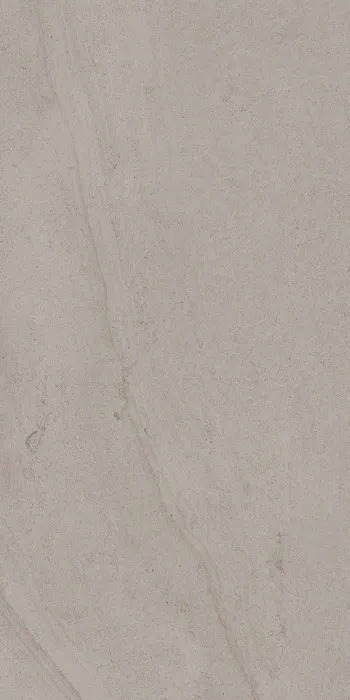 Pioneer, photo 6 (Leisure Gray)