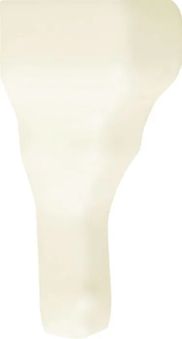 Chair molding end cap in Bamboo