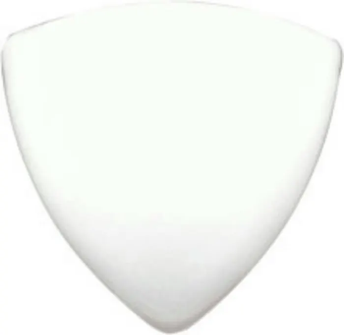 Beak in Snow Cap