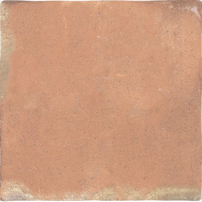 Rootstock, photo 5 (Cotto)