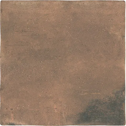 Rootstock, photo 6 (Rust)