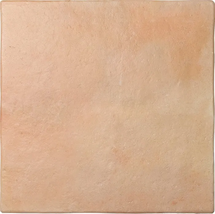 Rootstock, photo 4 (Sand)