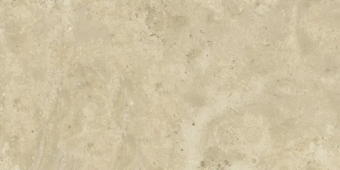 Shellamber