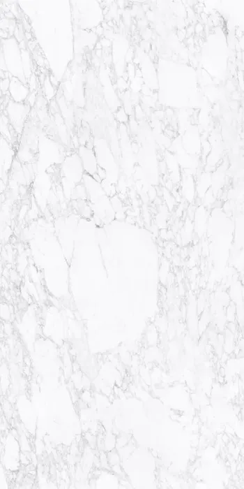Arabescato Vagli porcelain slab