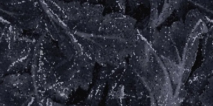 Acanto - Calacatta Black