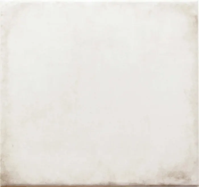 Vestige, photo 5 (Bone)