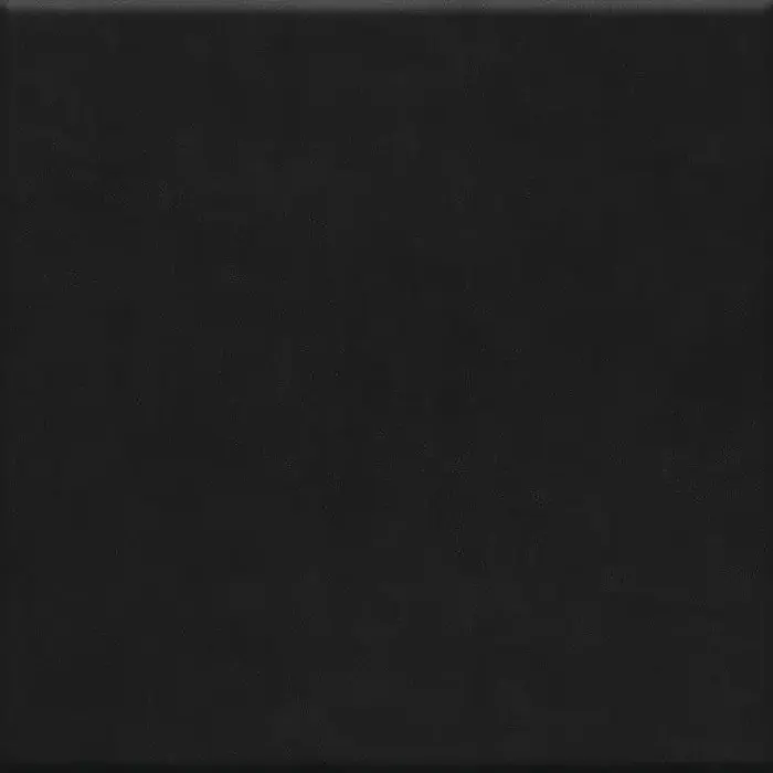 Washington, photo 14 (Solid Black)