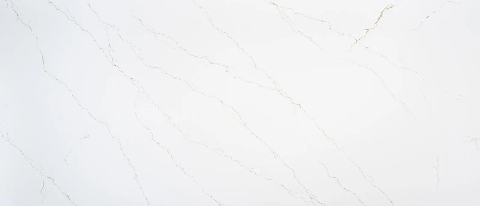 Calacatta Marina Oro quartz slab