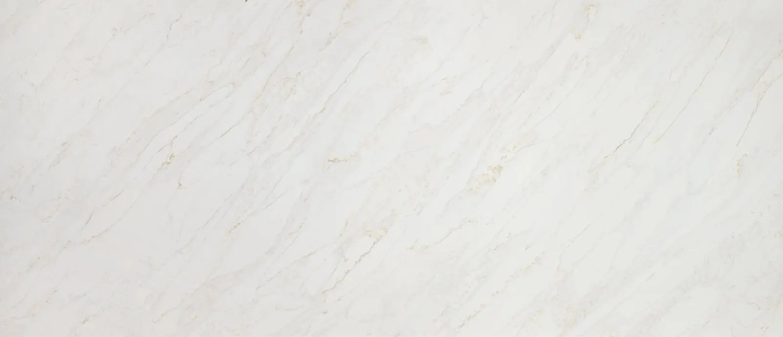 Calacatta Parma quartz slab