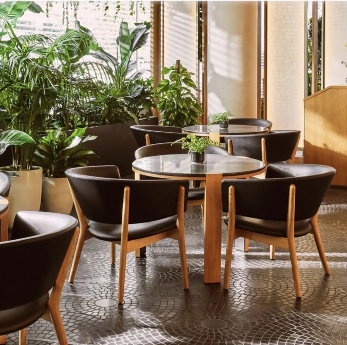 The Pendry