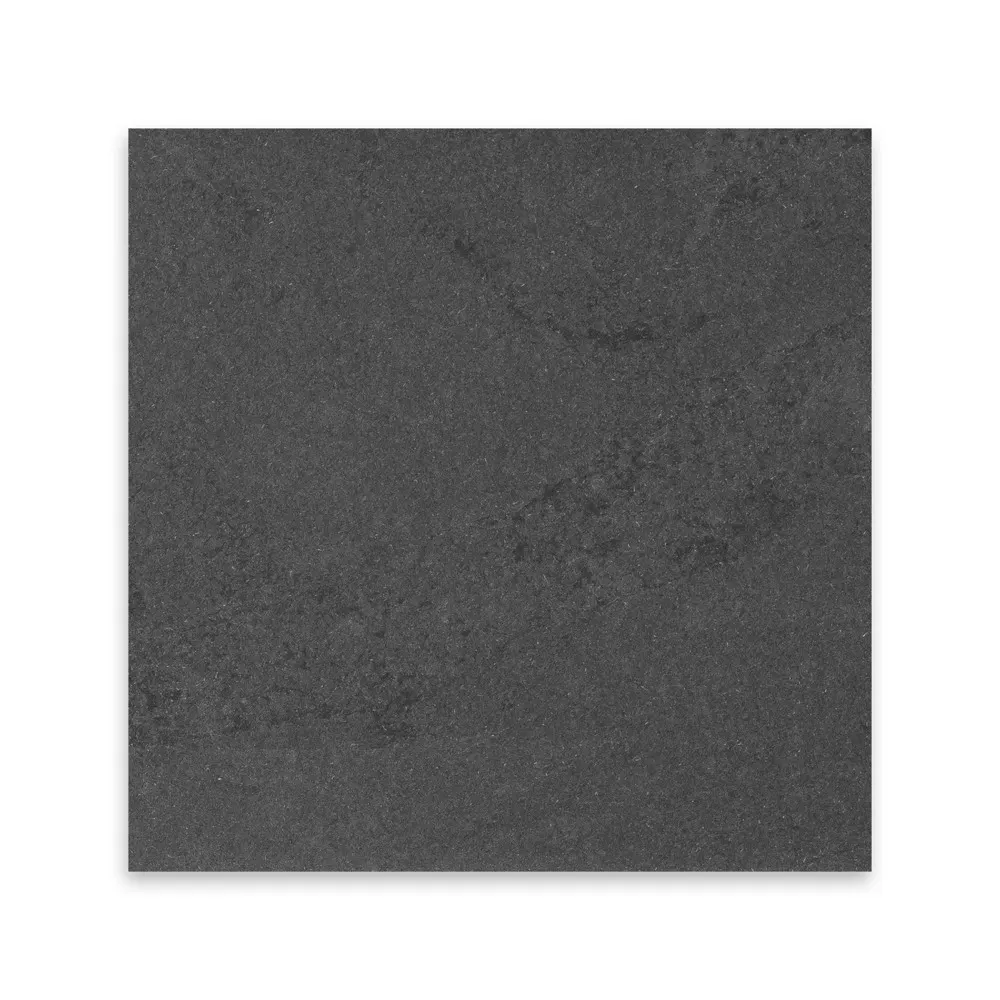 Brazilian Black, photo 3