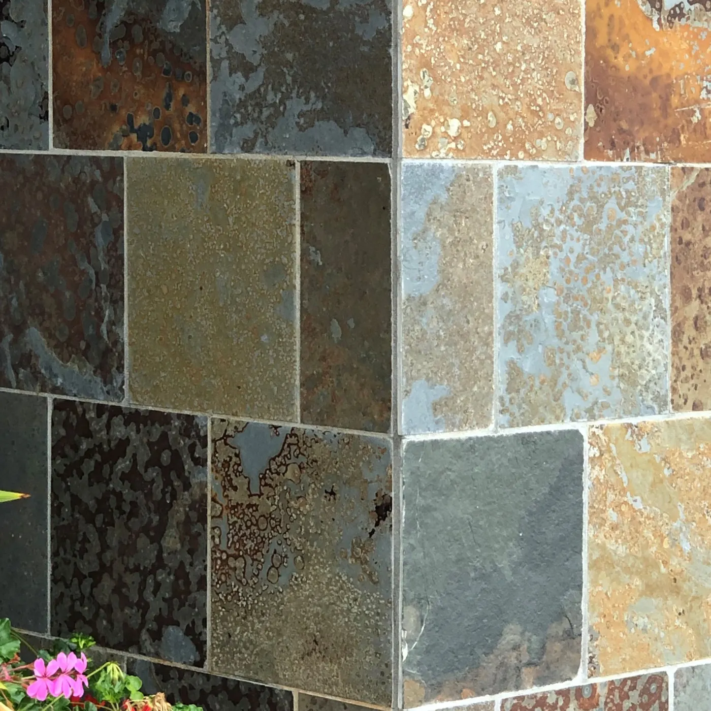 Brazilian Multicolor, photo 2