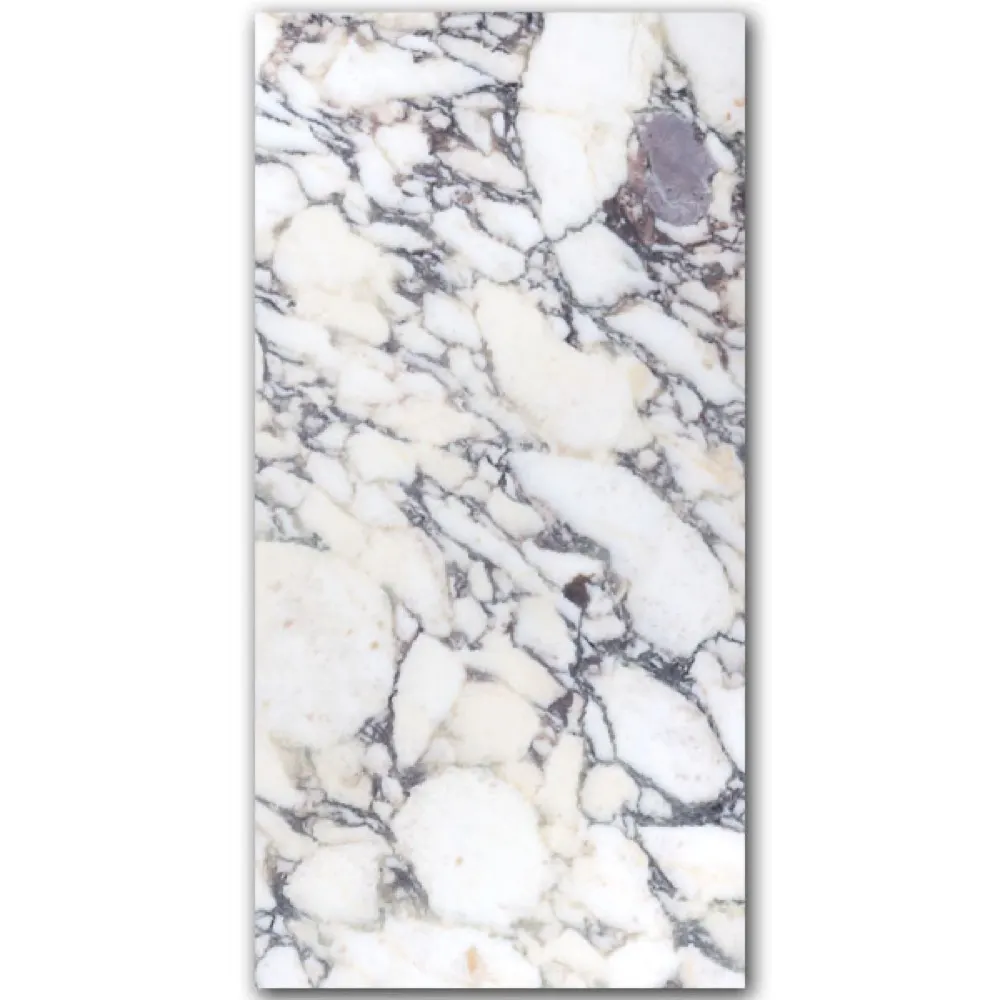 Breccia Capraia, photo 4
