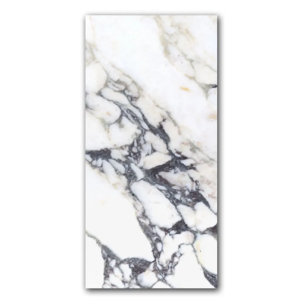 Breccia Capraia, photo 6