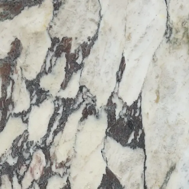 Calacatta Viola marble