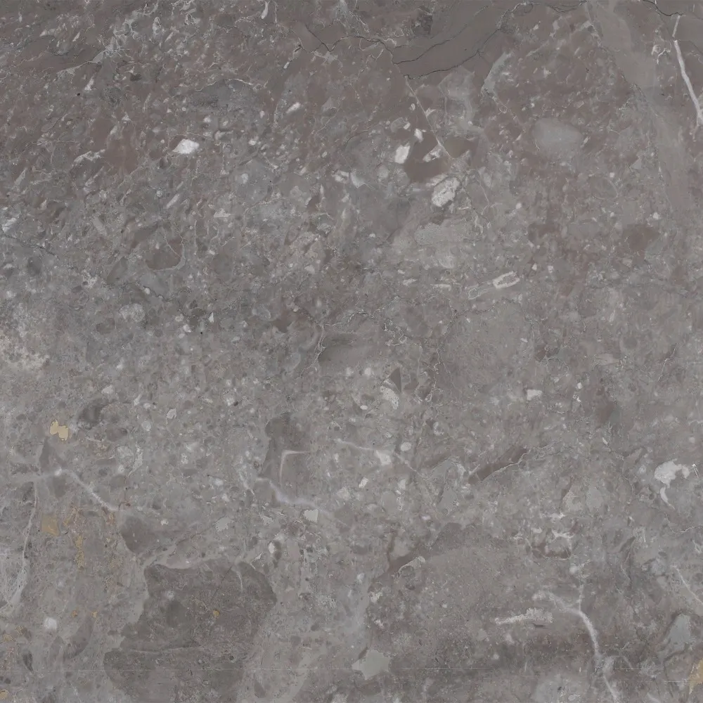 Caribe Grey, photo 2