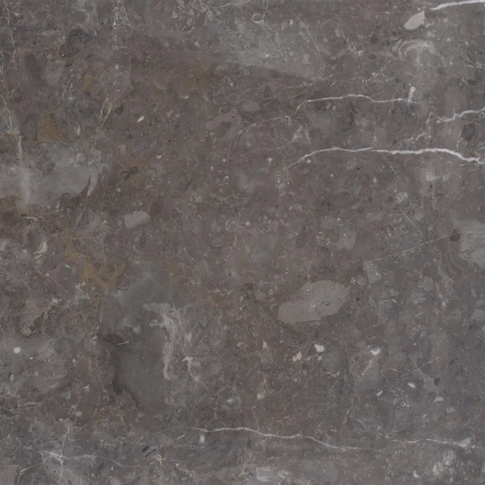 Caribe Grey, photo 6