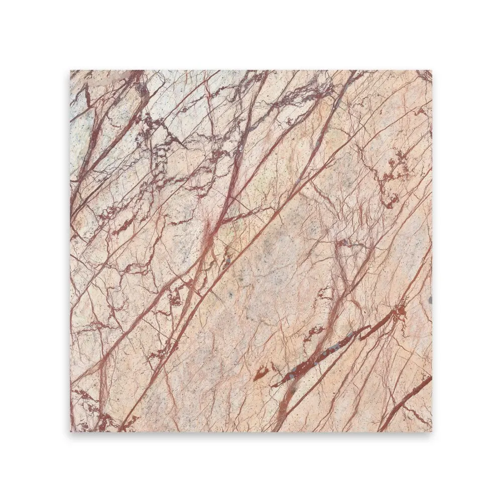 Rain Forest Brown, photo 2