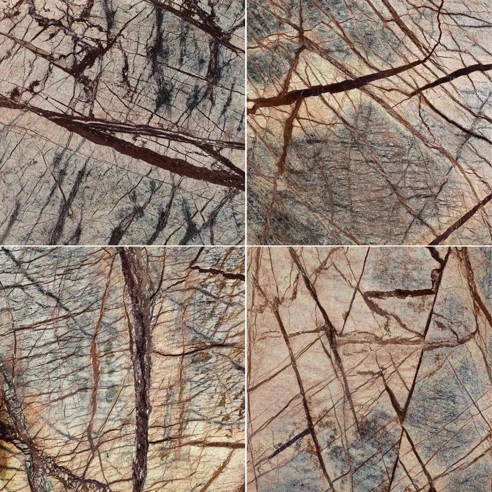 Rain Forest Brown, photo 3