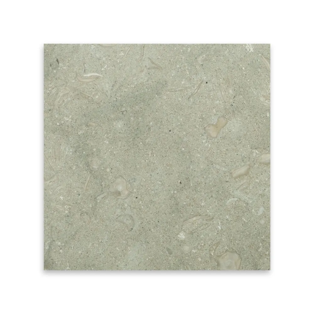 Seagrass, photo 2