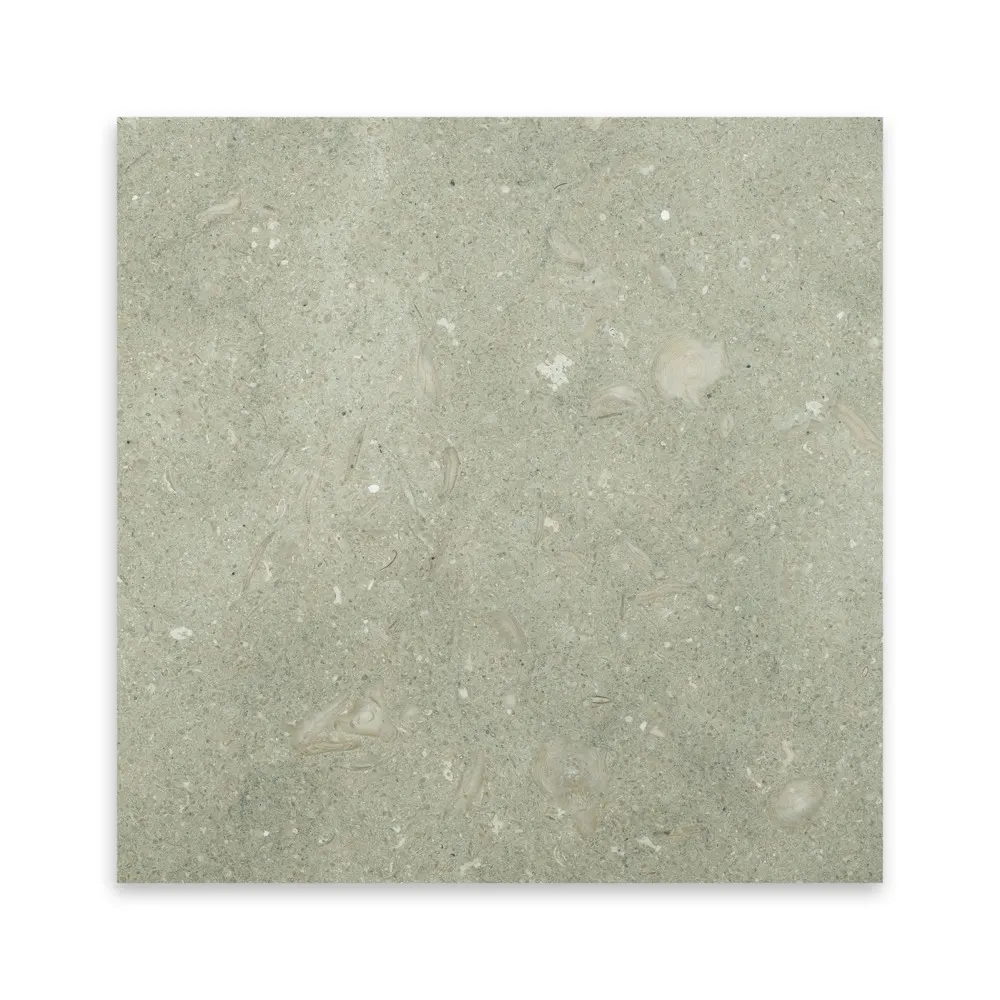 Seagrass, photo 3