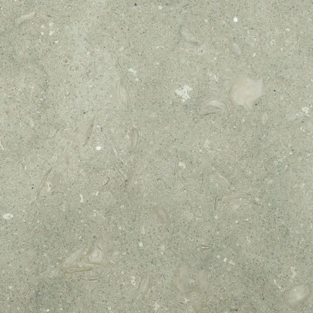 Seagrass limestone