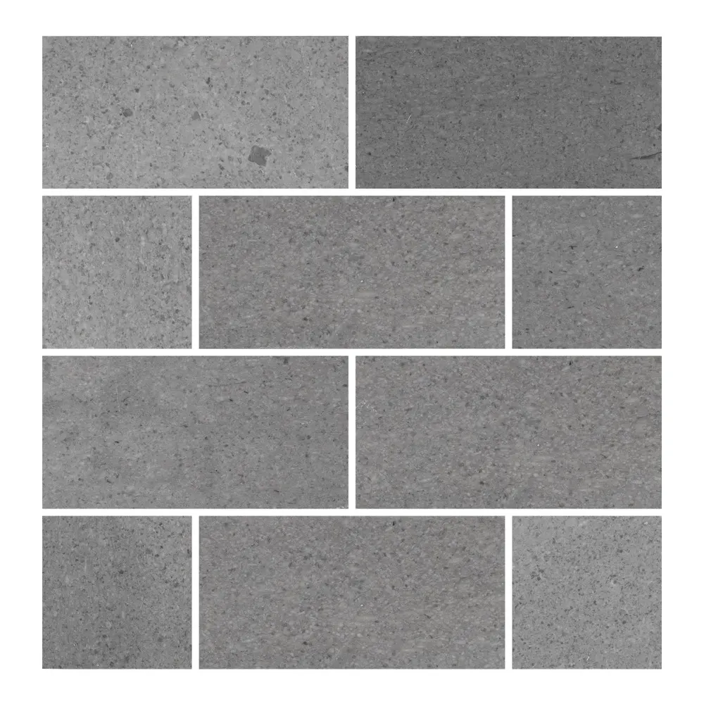 Spanish Grey, photo 4