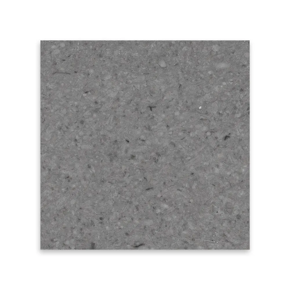 Spanish Grey, photo 5