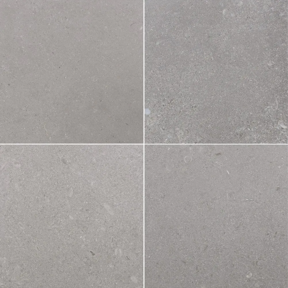Spanish Grey, photo 6