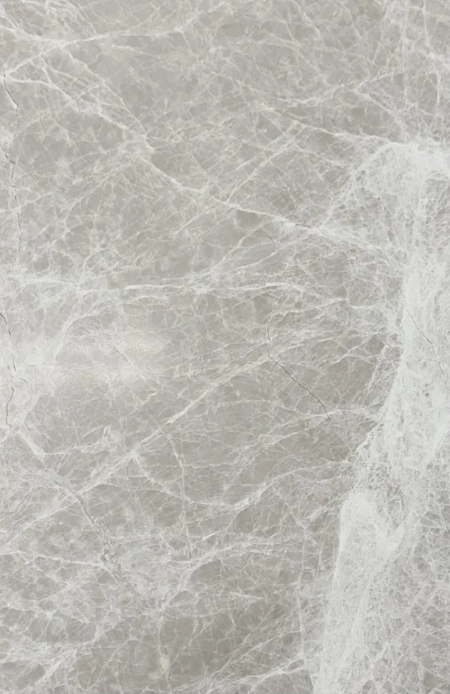 Spider Grey, photo 3