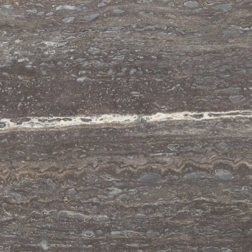 Titanium, photo 4